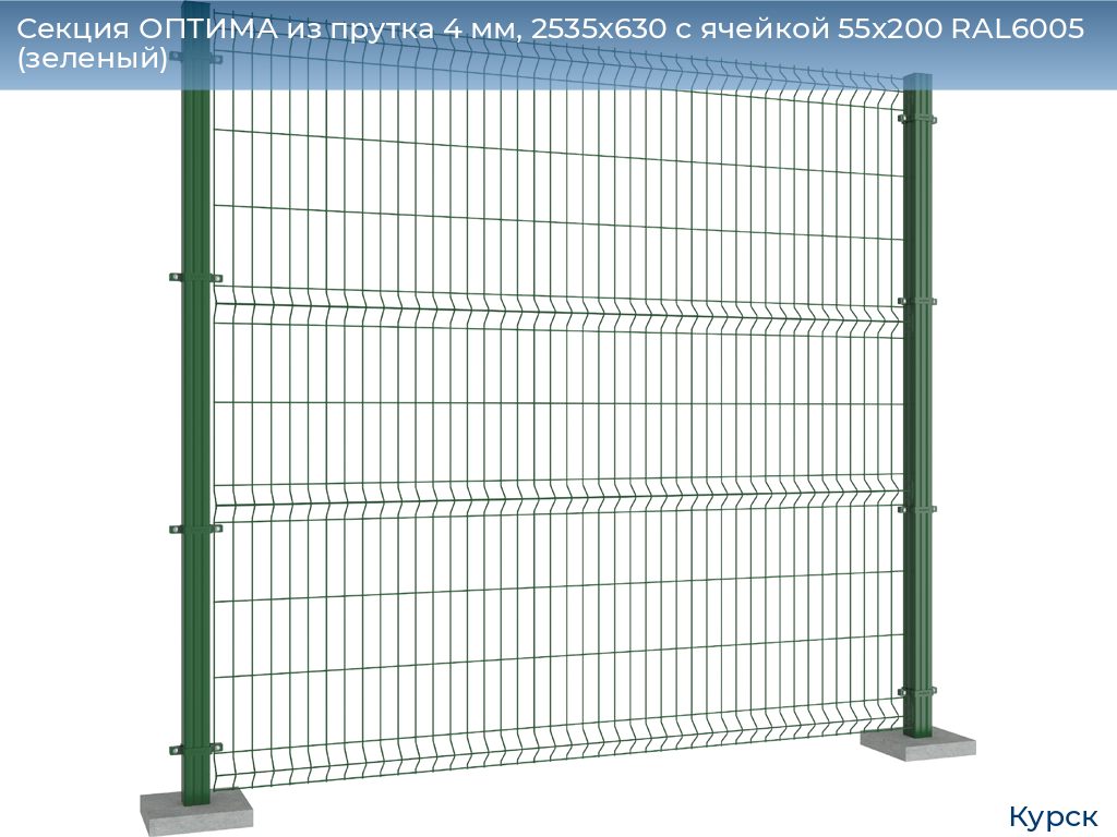 Секция ОПТИМА из прутка 4 мм, 2535x630 с ячейкой 55х200 RAL6005 (зеленый), kursk.doorhan.ru