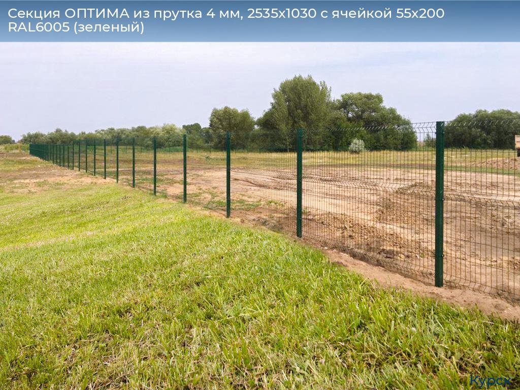 Секция ОПТИМА из прутка 4 мм, 2535x1030 с ячейкой 55х200 RAL6005 (зеленый), kursk.doorhan.ru