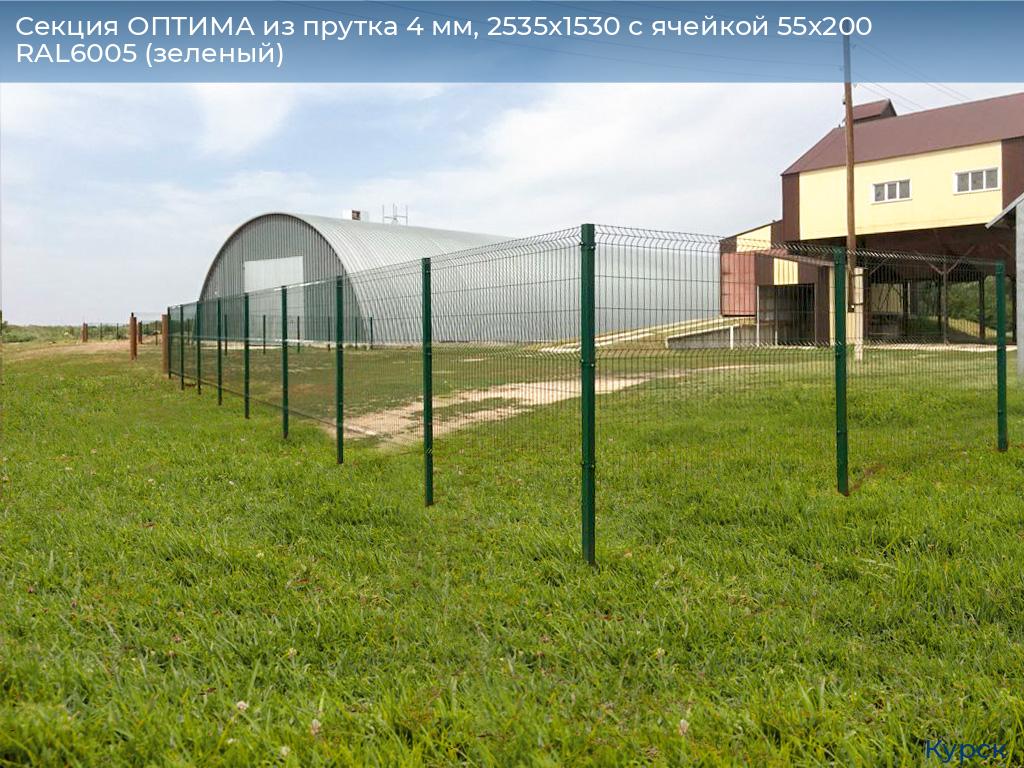 Секция ОПТИМА из прутка 4 мм, 2535x1530 с ячейкой 55х200 RAL6005 (зеленый), kursk.doorhan.ru