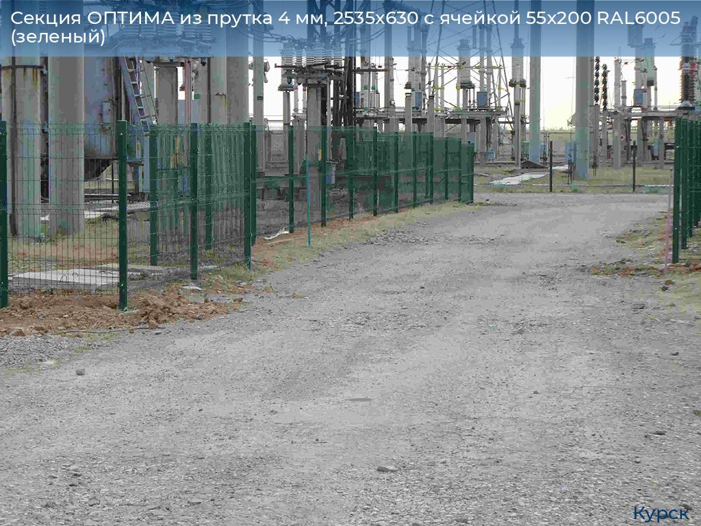 Секция ОПТИМА из прутка 4 мм, 2535x630 с ячейкой 55х200 RAL6005 (зеленый), kursk.doorhan.ru
