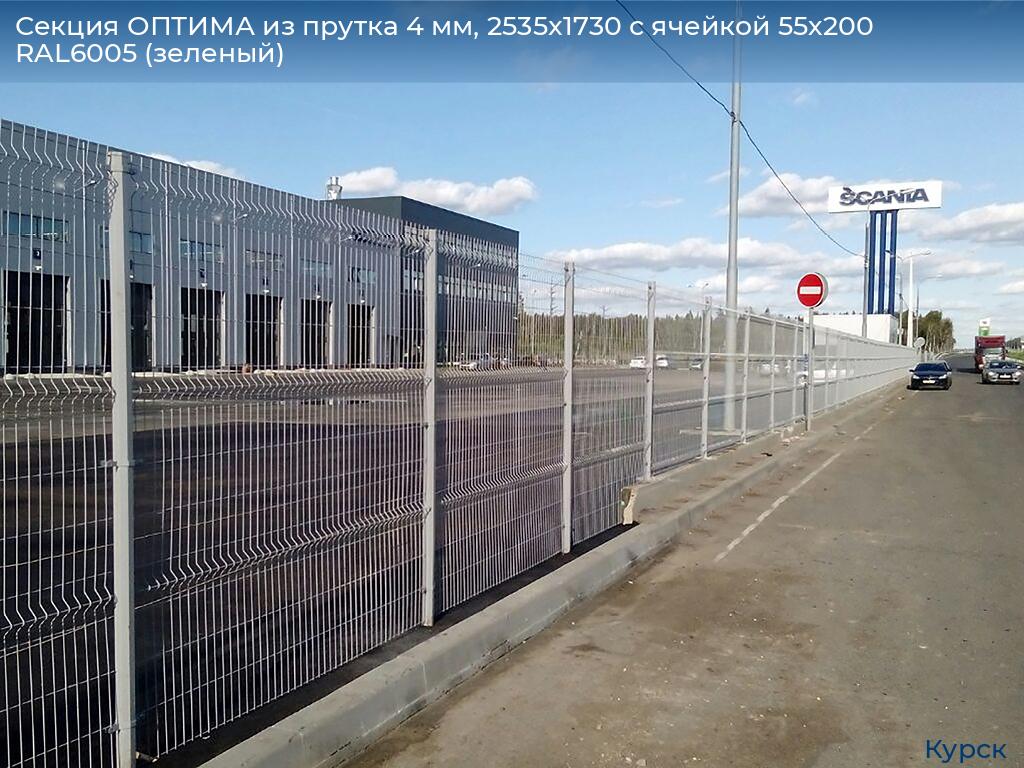 Секция ОПТИМА из прутка 4 мм, 2535x1730 с ячейкой 55х200 RAL6005 (зеленый), kursk.doorhan.ru