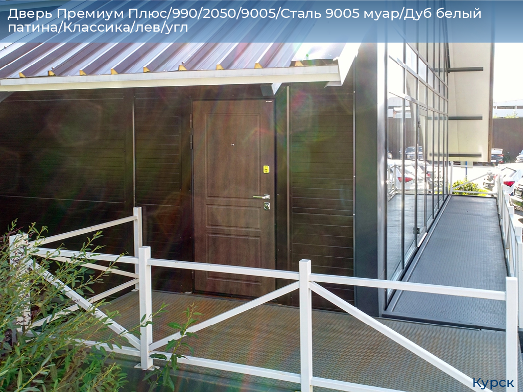 Дверь Премиум Плюс/990/2050/9005/Сталь 9005 муар/Дуб белый патина/Классика/лев/угл, kursk.doorhan.ru