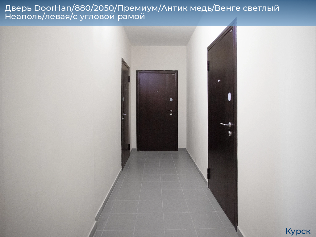 Дверь DoorHan/880/2050/Премиум/Антик медь/Венге светлый Неаполь/левая/с угловой рамой, kursk.doorhan.ru