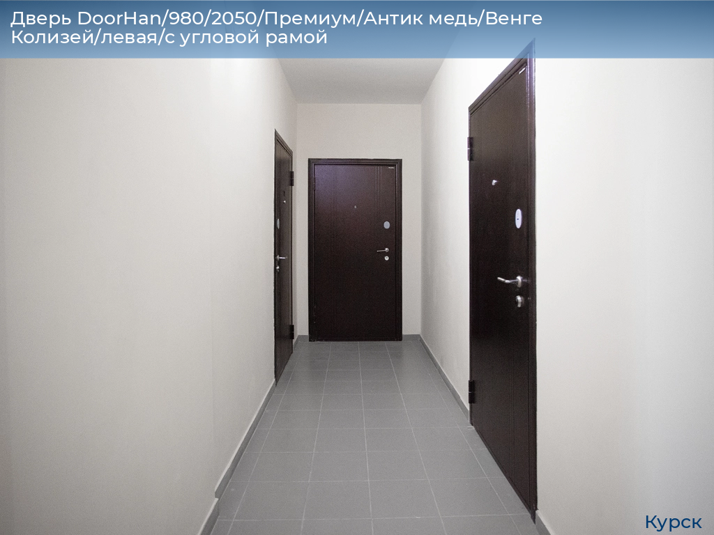 Дверь DoorHan/980/2050/Премиум/Антик медь/Венге Колизей/левая/с угловой рамой, kursk.doorhan.ru