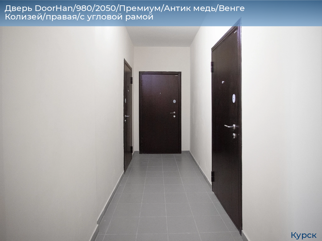 Дверь DoorHan/980/2050/Премиум/Антик медь/Венге Колизей/правая/с угловой рамой, kursk.doorhan.ru