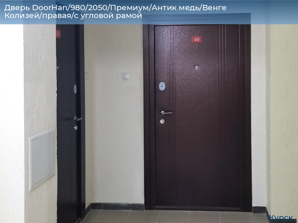 Дверь DoorHan/980/2050/Премиум/Антик медь/Венге Колизей/правая/с угловой рамой, kursk.doorhan.ru