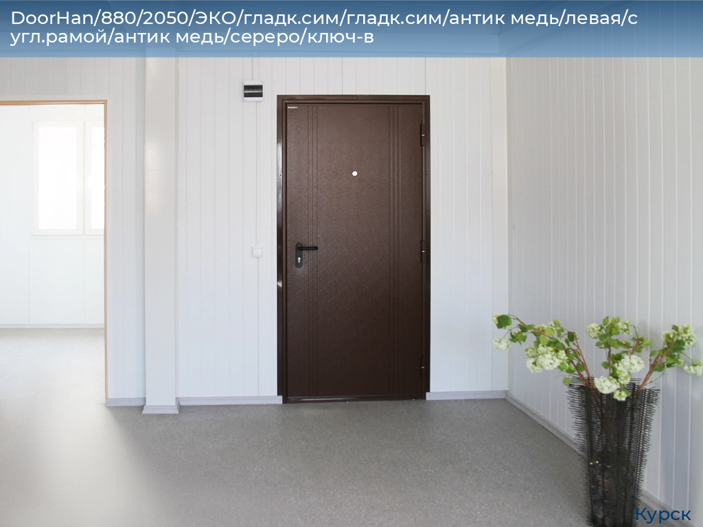 DoorHan/880/2050/ЭКО/гладк.сим/гладк.сим/антик медь/левая/с угл.рамой/антик медь/сереро/ключ-в, kursk.doorhan.ru
