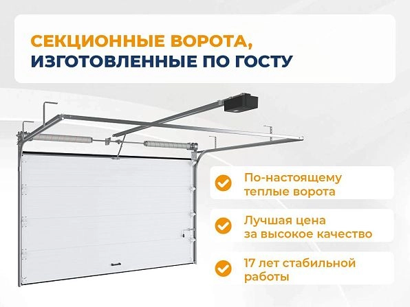 Секционные ворота 3100х2450 мм коричнево-красные DoorHan RSD02, kursk.doorhan.ru